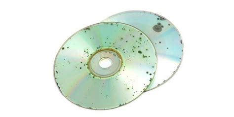 how to suck a cock|Avoid Disc Rot: How to Look After Your CDs 